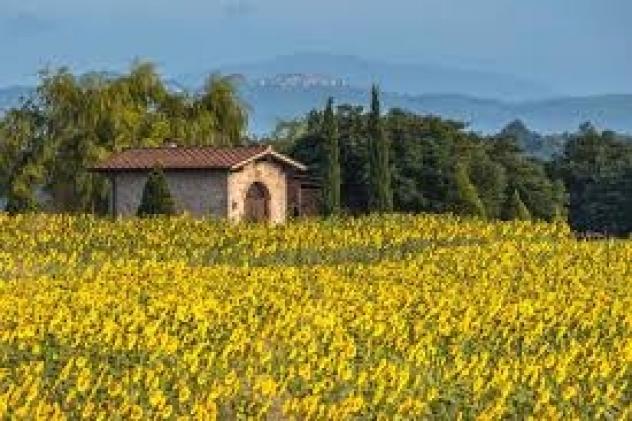 BORGO S LORENZO PORZIONE VILLA MQ 165 TERRENO 3 HA - Foto 2