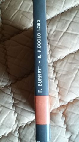 Il piccolo Lord - Foto 2