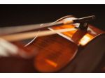 Violinista per eventi, matrimoni e cerimonie