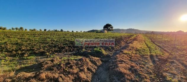 NAPOLA – Terreno di 23.000 mq ca. Euro 68 MILA - Foto 7