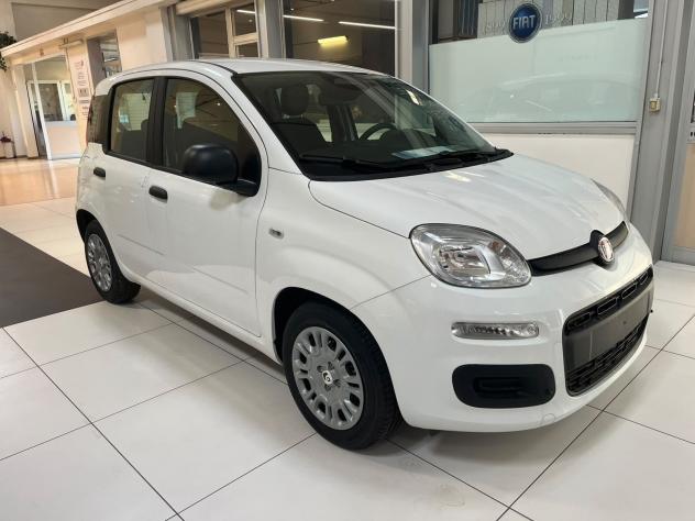 FIAT Pandina Pandina 1.0 firefly hybrid Icon - Foto 3