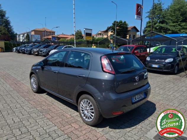 FIAT Punto 1.2 8V 5 porte Young rif. 23784538 - Foto 3
