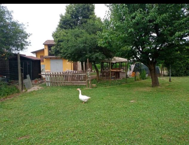 25/04 - 31/10:PARCO IMMERSO NEL VERDE PER FESTE e BARBECUE - Foto 5