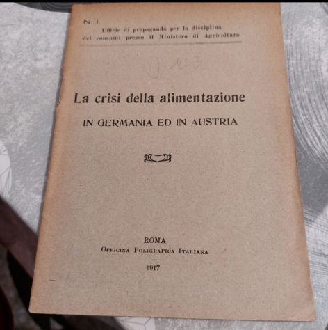 La crisi della alimentazione in germania e austria1917717
