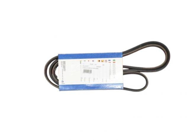 Cinghia Servizi Peugeot Expert (nuova) 6PK1660 - 05520