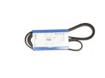 Cinghia Servizi Peugeot Expert (nuova) 6PK1660 - 05520