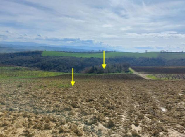 Immobile in asta di 43400 m² in vendita a Altomonte - Foto 8