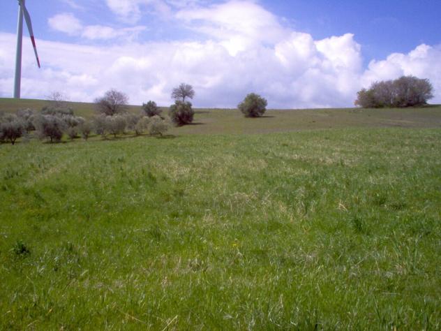 terreno coltivabile mq18000 Privato