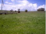 terreno coltivabile mq18000 Privato