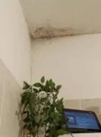 Immobile in asta di 109 m², box auto in vendita a Monte Compatri - Foto 4