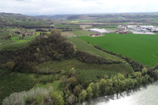 Agricolo in vendita a Cherasco - Foto 11