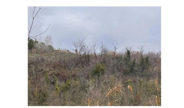 Immobile in asta di 10244 m² in vendita a Teramo - Foto 4