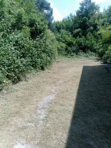 Immobile in asta di 170 m² con più di 5 locali in vendita a Calizzano - Foto 3