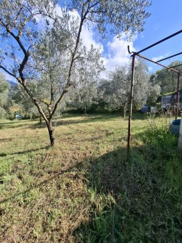 TERRENO AGRICOLO IN VENDITA Palombara Sabina (RM)