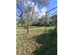 TERRENO AGRICOLO IN VENDITA Palombara Sabina (RM)