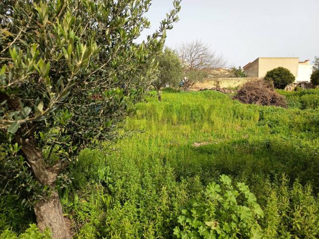 Terreno Edificabile in vendita a Siracusa, Plemmirio - Foto 6