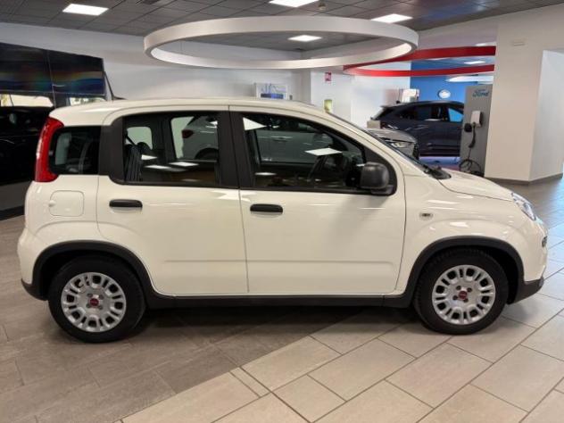 FIAT Panda 1.0 ibrida/benzina 70cv. FireFly , Km 26.000 rif. 24186555 - Foto 8