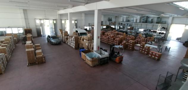 Industriale/Artigianale in vendita a Novi di Modena - Foto 5