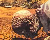 Terra bruciata, James G. Ballard, Oscar Fantascienza 2087, 1997. - Foto 4