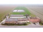 Azienda Agricola in vendita a Colorno