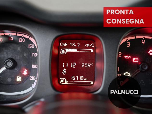 FIAT Panda Panda 1.0 firefly hybrid s&s 70cv - Foto 9