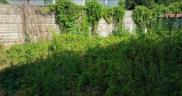 Immobile in asta di 321 m² in vendita a Moconesi - Foto 2