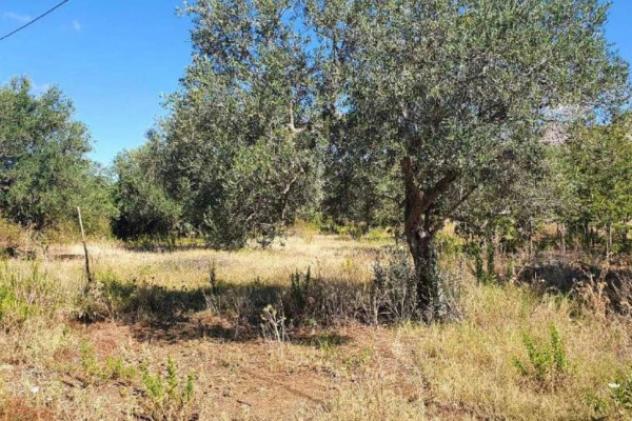 Immobile in asta di 4143 m² in vendita a Borgetto - Foto 3