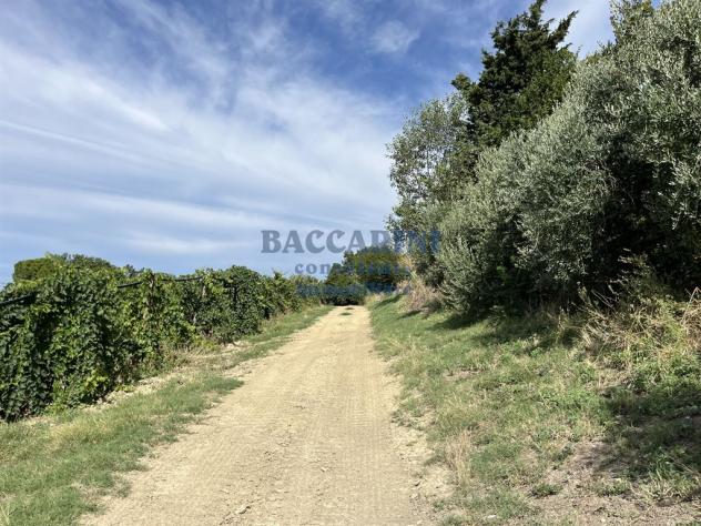 PODERE AGRICOLO CON CAPANNONE - BRISIGHELLA - FAENZA - VIA AGELLO E SANDRONA - Foto 12