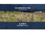 Immobile in asta di 1088 m² in vendita a Calangianus
