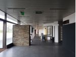 Locali commerciali su Cispadana collegati a Ligabue shopping center