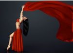 spettacoli di danza del ventre