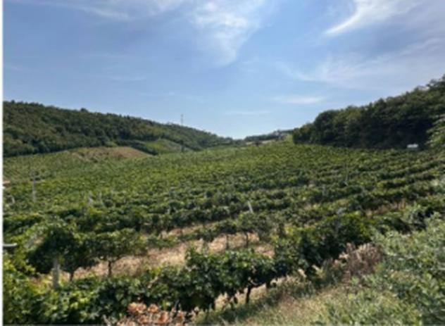 Immobile in asta di 93361 m² in vendita a Ripatransone - Foto 8