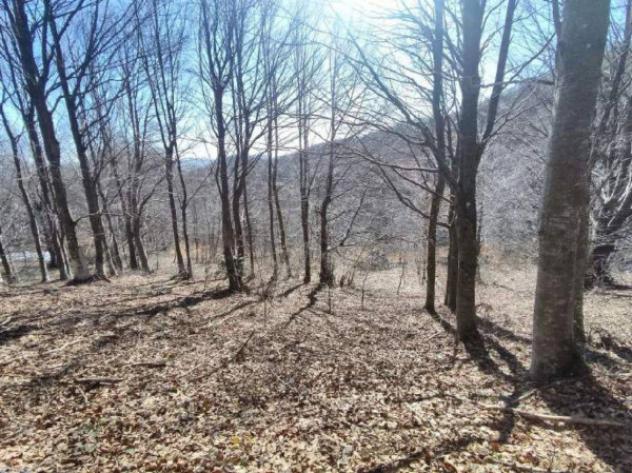 Immobile in asta di 130855 m² in vendita a Verghereto - Foto 12