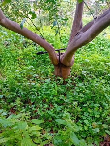 Terreno in vendita a Acireale, Pozzillo - Foto 4
