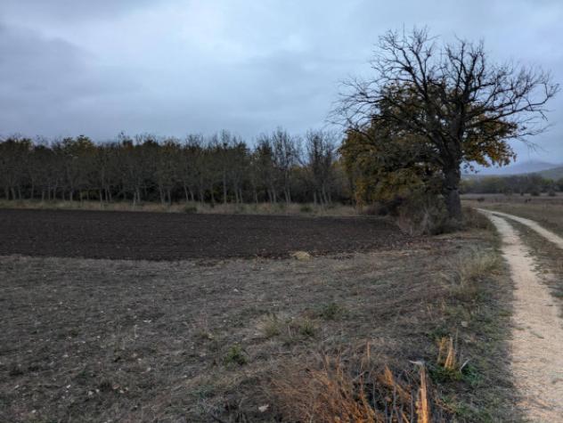 Immobile in asta di 9520 m² in vendita a Ofena - Foto 10