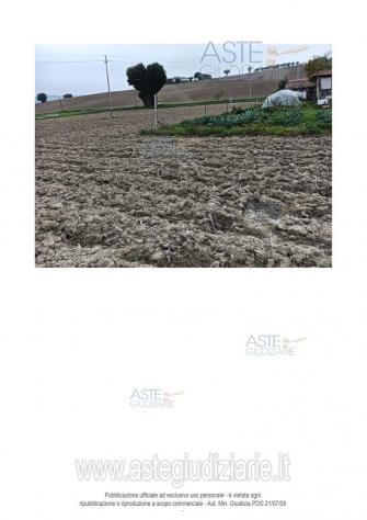 IMMOBILI-ALTRA CATEGORIA-Via Santa Maria Apparve, 60010 Ostra AN, Italia - Foto 5