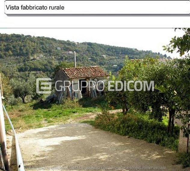 Terreno di 13449 mq  in vendita a Platania - Rif. 4562600