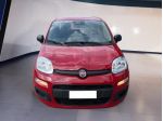 FIAT Pandina Panda My25 1.0 70cv Hybrid Panda