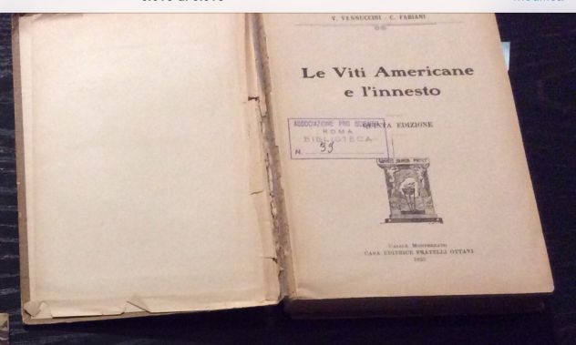 Vannuccini- Fabiani,  LE VITI AMERICANE E L'INNESTO ,1923