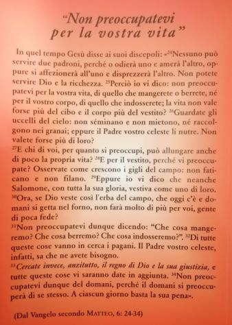 Dalla Sofferenza alla Gioia Eterna - di Valerio Rosano - Vol 1 La Pazienza - Foto 4