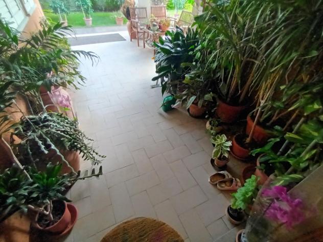 casa indipendente in vendita a Lucca in zona Sant'Angelo in Campo