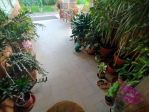 Villa in vendita a Sant'Angelo In Campo - Lucca 220 mq  Rif: 1194316