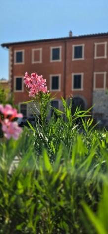 Appartamento in vendita a Caprona - Vicopisano 250 mq Rif: 1039100 - Foto 3