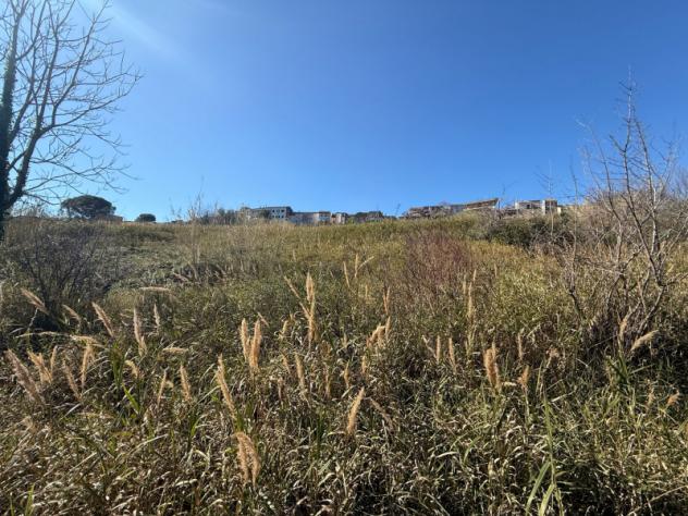 Agricolo in Contrada Pezze - Foto 3