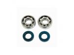 Kit cuscinetti paraoli Derbi
