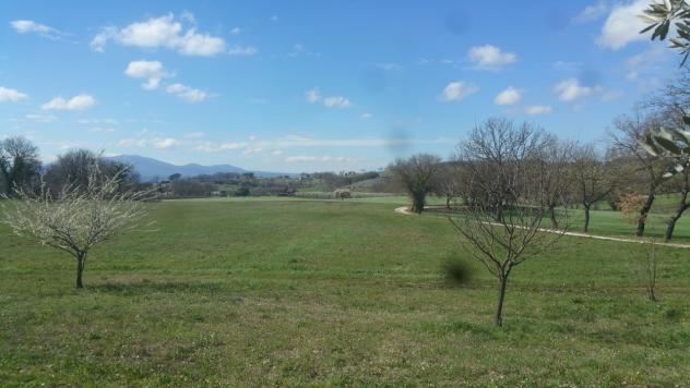 Seminativo in vendita a Lugnano in Teverina - Foto 2