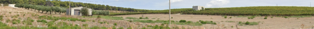 Sicilia Vendita terreno a Menfi - Foto 6