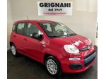 FIAT Panda Panda 1.0 FireFly S&S Hybrid Neopatentati
