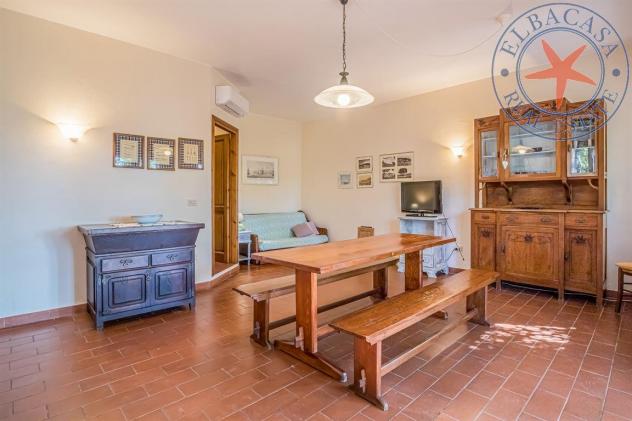 PORTO AZZURRO - ELBA - TRILOCALE IN CASALE - Foto 8