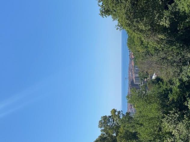 Appartamento in Viale dei Tigli - Foto 2